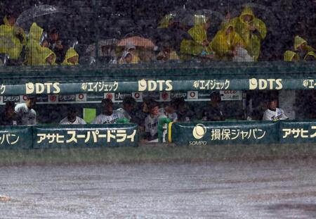 　雨が強くなり阪神ナインはベンチに戻る（撮影・山口登）
