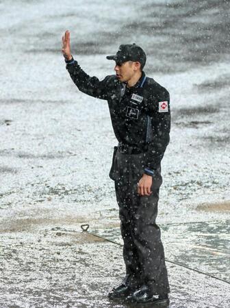 　雨が激しくなりノーゲームを宣告する山村球審（撮影・立川洋一郎）