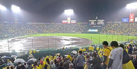 　雨脚が強まりノーゲームとなった阪神対ヤクルトの試合（撮影・立川洋一郎）