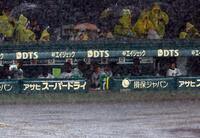 　雨が強くなり阪神ナインはベンチに戻る（撮影・山口登）