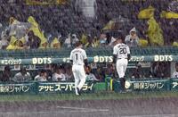 　再び雨が強くなり、デュプランティエらナインはベンチに戻る（撮影・山口登）