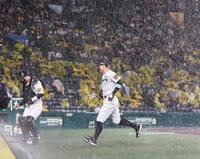 　３回途中、一端グラウンドに出たものの再び雨が降り出し、慌ててベンチに戻る佐藤輝（中央）＝撮影・北村雅宏