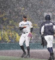 　３回途中、一端マウンドで投球練習をしたものの、再び雨が降り出し、ロジンを手渡てベンチに戻るデュプランティエ（撮影・北村雅宏）