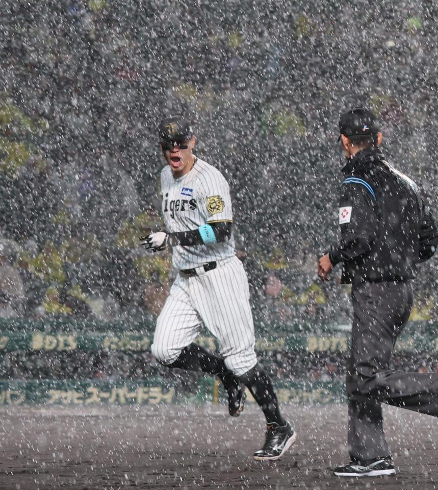 　３回途中、一端グラウンドに出たものの再び雨が降り出し、慌ててベンチに戻る佐藤輝（撮影・北村雅宏）