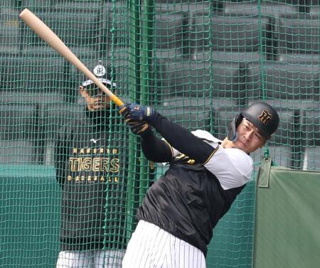 　打撃練習をする佐藤輝（撮影・中田匡峻）