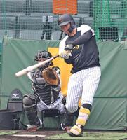 　打撃練習をする森下（撮影・中田匡峻）