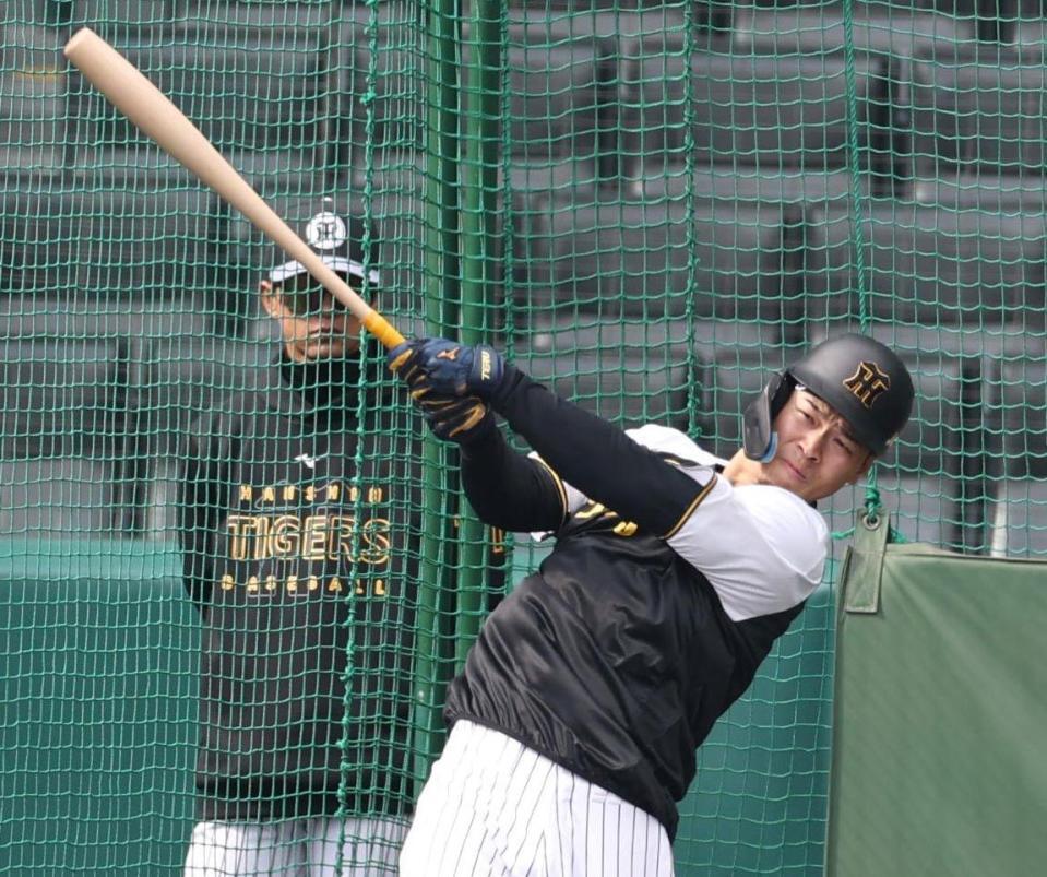 　打撃練習をする佐藤輝（撮影・中田匡峻）