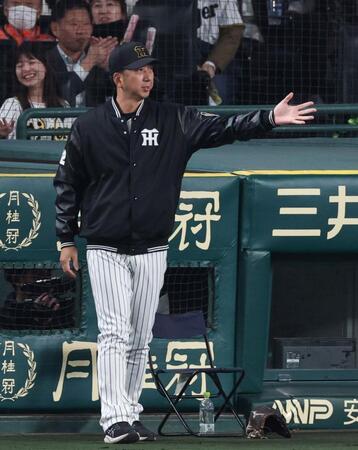 　５回、代打に糸原を送る藤川監督（撮影・中田匡峻）