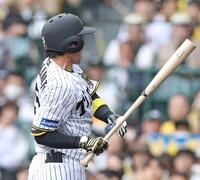 　３回、死球を受ける近本（撮影・中田匡峻）