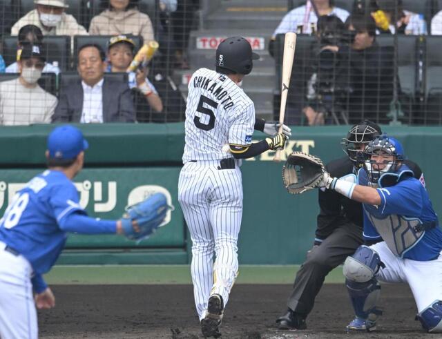 Amazon.co.jp: 阪神甲子園球場100周年記念ボール 近本光司