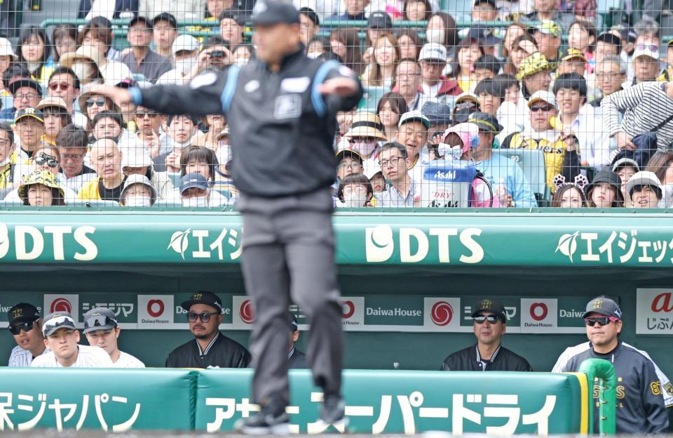 　１回、岡林の二塁セーフ判定に藤川監督（右から２人目）はリクエストを出すも、判定は覆らず（撮影・中田匡峻）