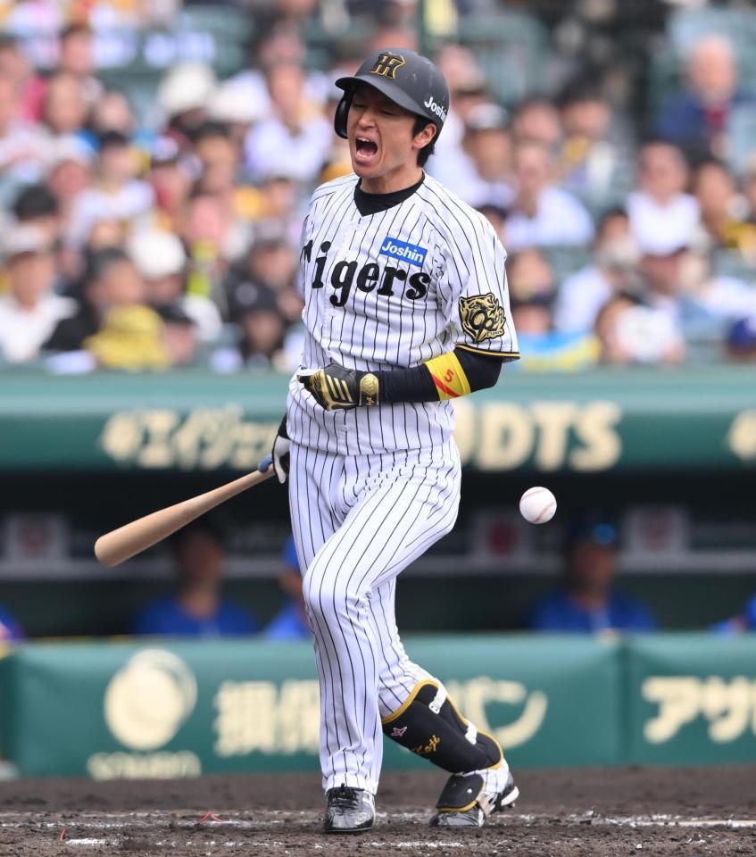 　３回、死球を受ける近本（撮影・西田忠信）