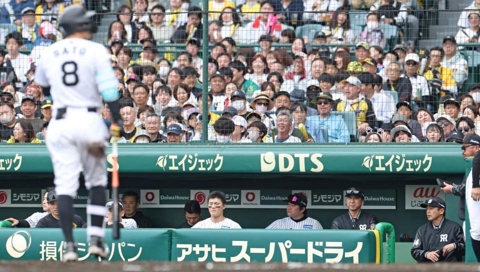 　５回、好機で佐藤輝（８）が空振り三振に倒れた姿をベンチから見つめる藤川監督（右から３人目）＝撮影・中田匡峻