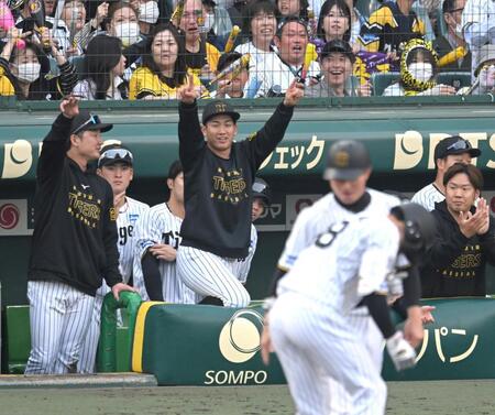 　９回、ベンチで盛り上がる伊原ら阪神ナイン（撮影・飯室逸平）