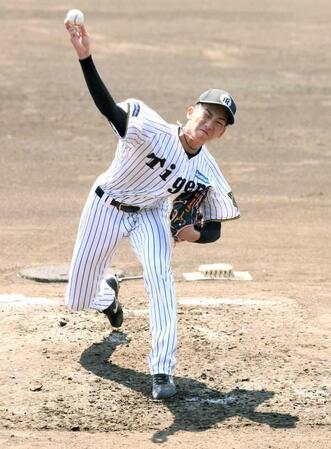 　シート打撃に登板する今朝丸（撮影・石井剣太郎）