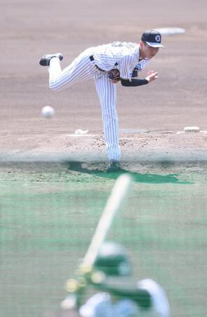 　シート打撃に登板する今朝丸（撮影・石井剣太郎）