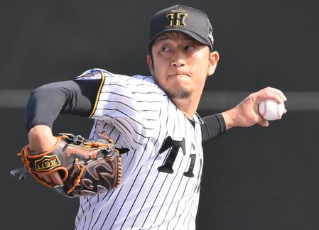 　阪神・岩貞祐太