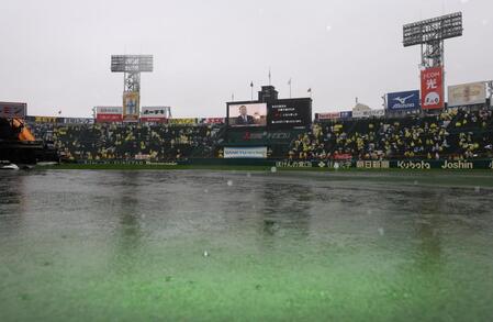 　雨天中止となった阪神対中日の３回戦（撮影・中田匡峻）