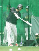 　打撃練習をする楠本（撮影・中田匡峻）