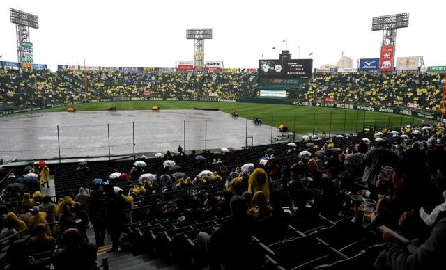 阪神－中日が雨天中止 ジェット風船の実証実験予定も…スタンドからは