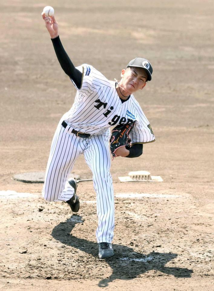 　シート打撃に登板する今朝丸（撮影・石井剣太郎）