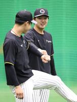 　１軍に合流し、木浪（左）とタッチを交わす楠本（撮影・中田匡峻）