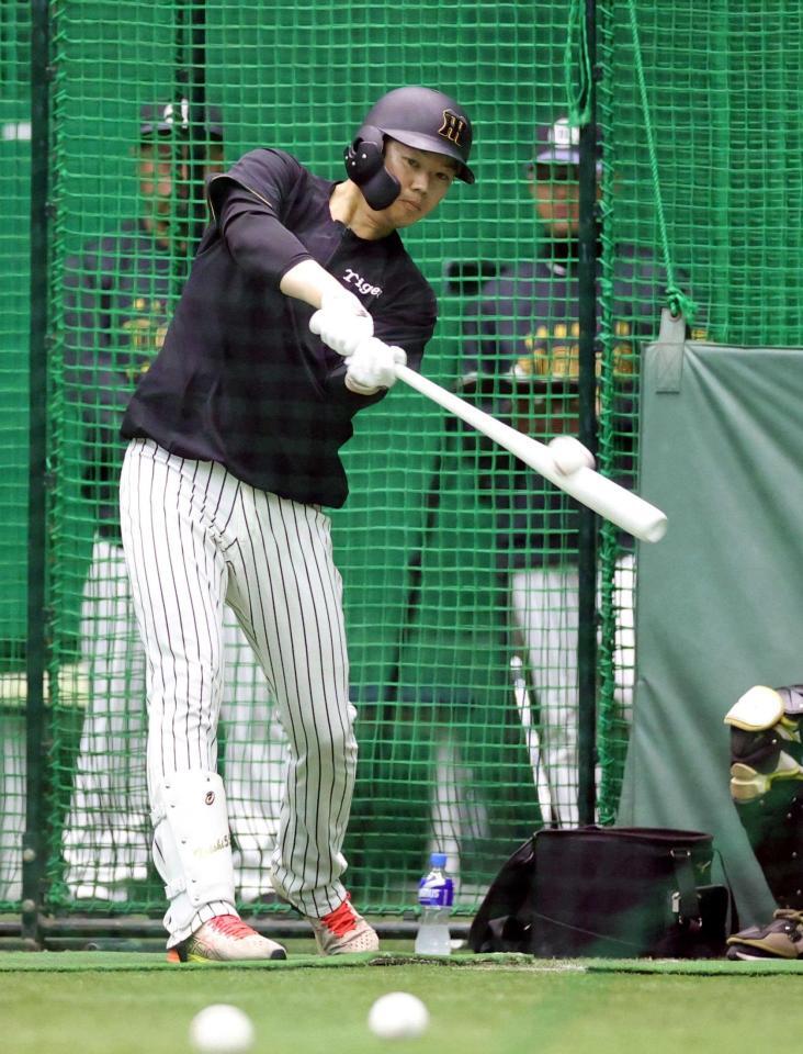 　打撃練習をする楠本（撮影・中田匡峻）
