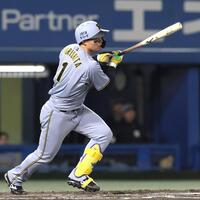 　６回、右前打を放つ森下（撮影・北村雅宏）