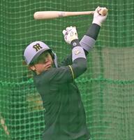 　打撃練習をする梅野（撮影・中田匡峻）