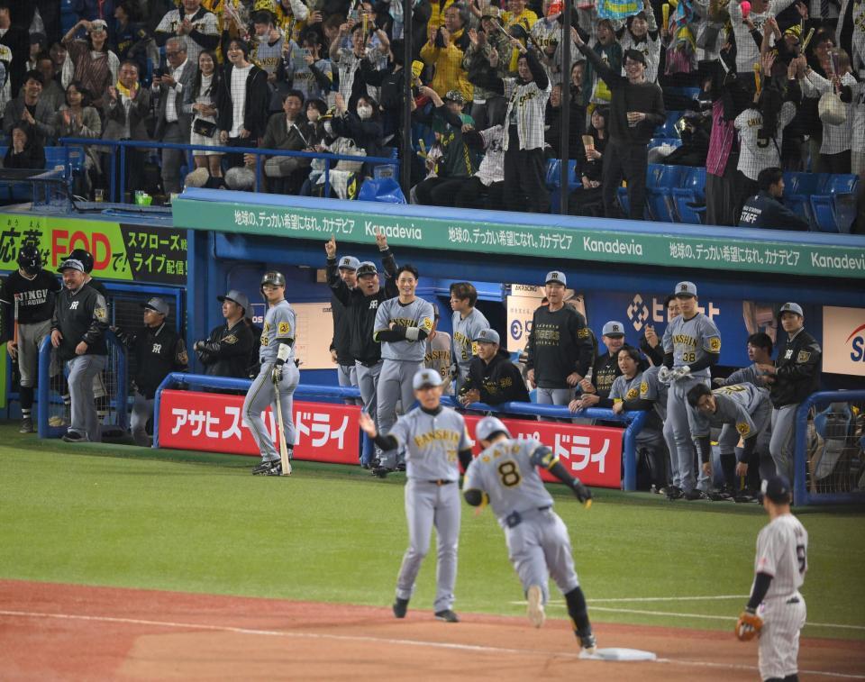 　８回、逆転２ランを放った佐藤輝（８）を見つめる阪神ナイン（撮影・伊藤笙子）