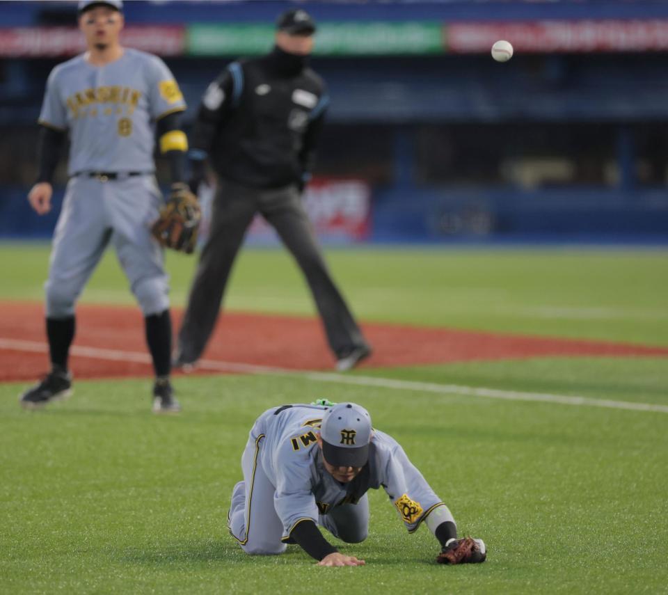 　１回、木浪は西川の打球を追うも捕れず（撮影・棚橋慶太）