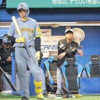 　７回、ベンチでリプレー検証の結果を待つ藤川監督（右）＝撮影・西岡正