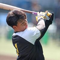 　打撃練習をする森下（撮影・中田匡峻）