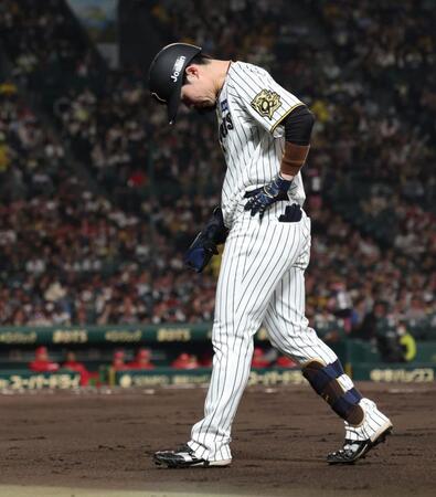　２回、一ゴロに倒れた中野。打席中に自打球があり、足を痛そうにしながらベンチに戻る（撮影・中田匡峻）
