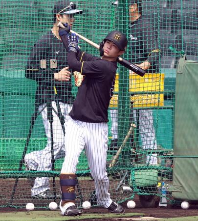 　打撃練習する中野（撮影・山口登）