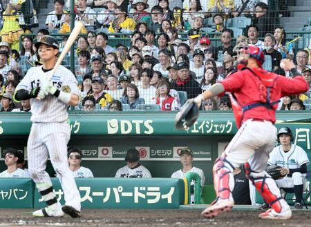 　９回、見逃し三振に倒れた木浪（手前左）を見つめる藤川監督（撮影・田中太一）