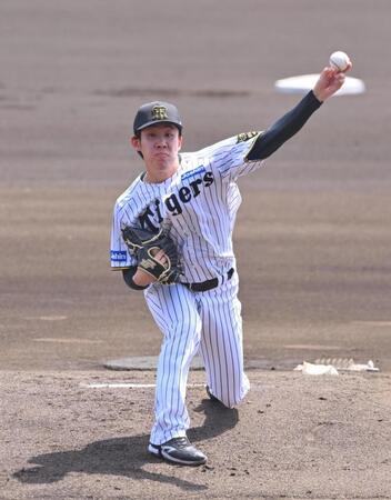 　力投する先発の富田（撮影・西田忠信）