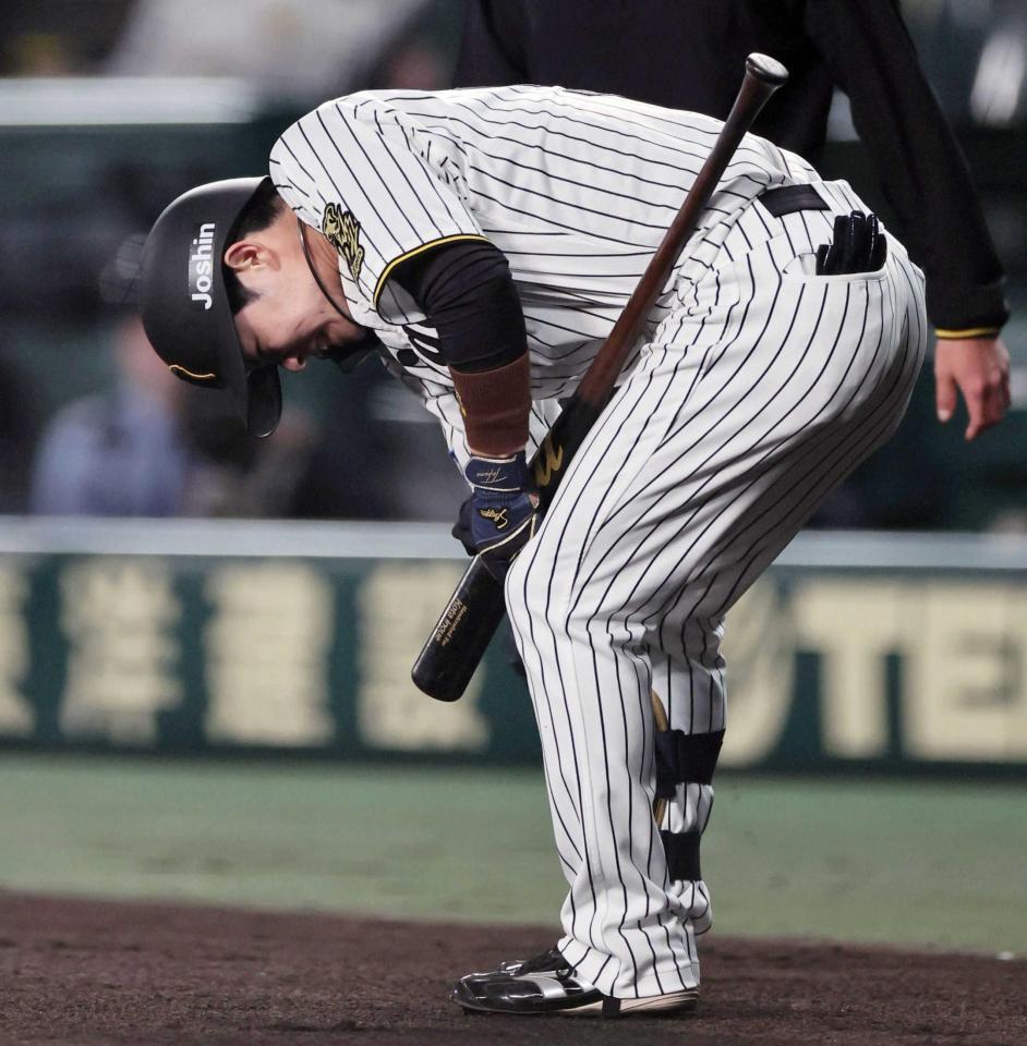 ryu阪神タイガース　中野選手試合用バット 阪神・中野 右ふくらはぎ負傷交代 二回に自打球/阪神タイガース