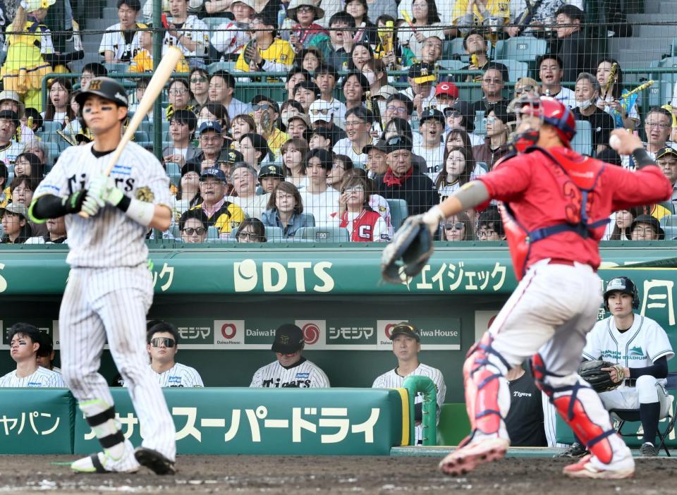 　９回、見逃し三振に倒れた木浪（手前左）を見つめる藤川監督（撮影・田中太一）