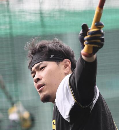 　打撃練習をする佐藤輝（撮影・田中太一）