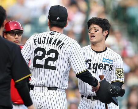 　８回、死球を受けた坂本（右）は藤川監督（２２）をなだめる（撮影・中田匡峻）