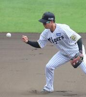 　シートノックで遊撃手のポジションに就く木浪（撮影・北村雅宏）