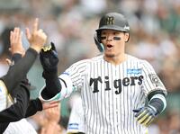 　５回、３ランを放ち、ナインとタッチを交わす佐藤輝（撮影・中田匡峻）