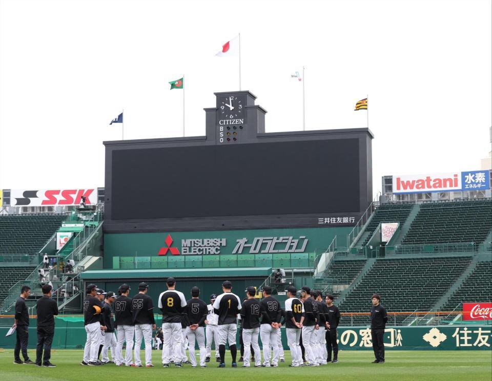 　練習前に集まる阪神ナイン（撮影・中田匡峻）