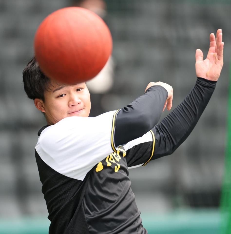 　メディシンボールでトレーニングをする森下（撮影・中田匡峻）