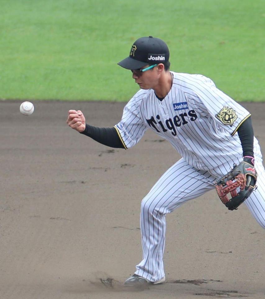 　シートノックで遊撃手のポジションに就く木浪（撮影・北村雅宏）