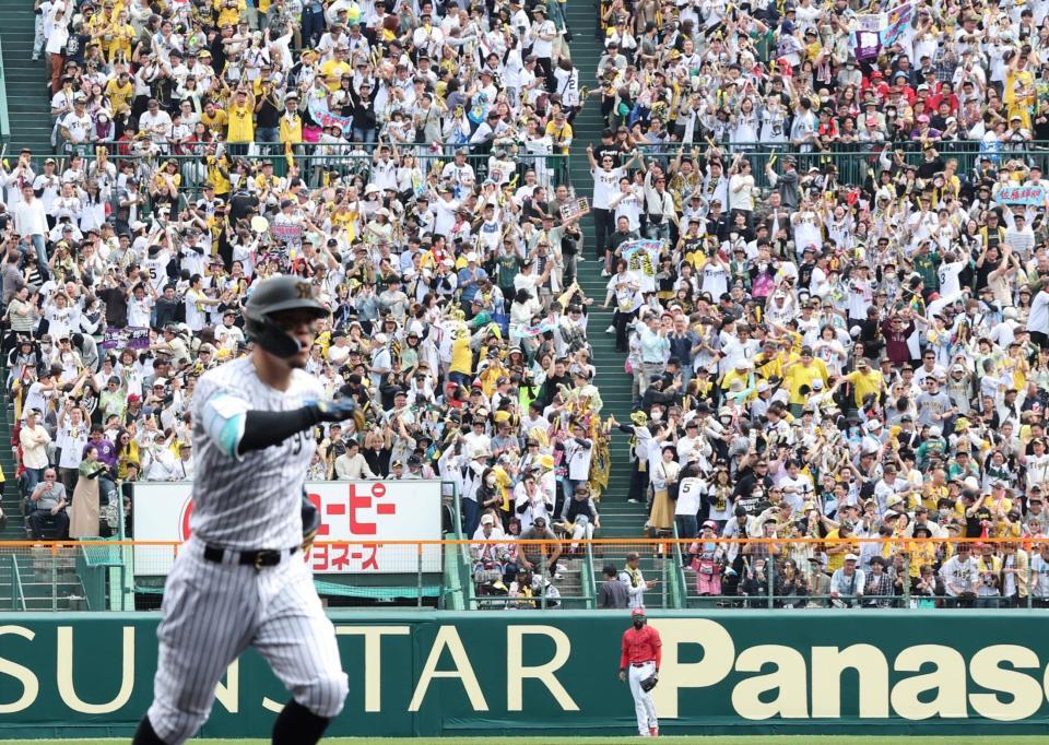 　１回、先制２ランを放ち、本塁へ走る佐藤輝に歓喜するスタンドのファン（撮影・田中太一）