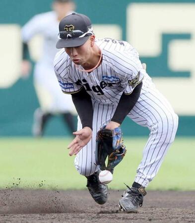 阪神・百崎 守乱で懲罰交代→特守2時間半 2軍コーチ「技術不足、良い教訓にしないといけない」