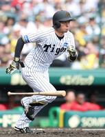 　５回、内野安打で出塁する近本（撮影・中田匡峻）