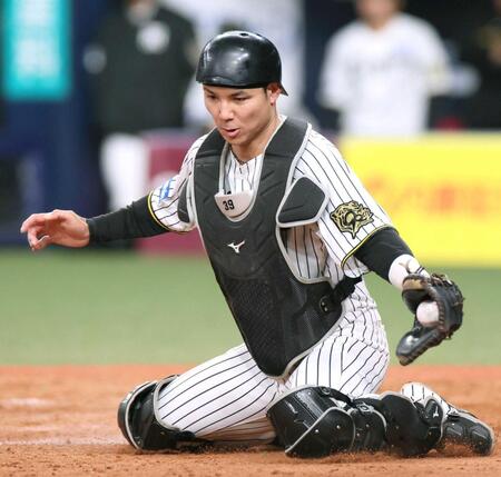 阪神・栄枝　もう２軍でやることはない　課題は「１軍での経験」